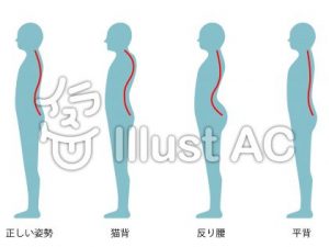 内臓下垂によるポッコリお腹 原因と改善方法 加圧トレーニングは大阪のbezel ベゼル